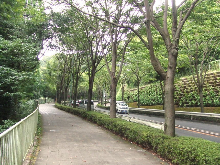 高尾街道（天皇陵沿道）