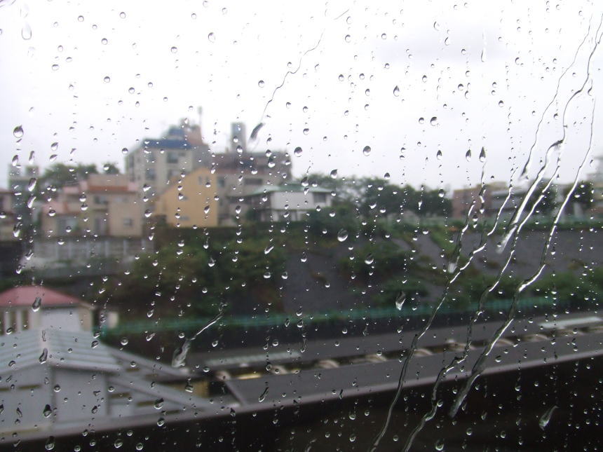 残念ながら今日は雨