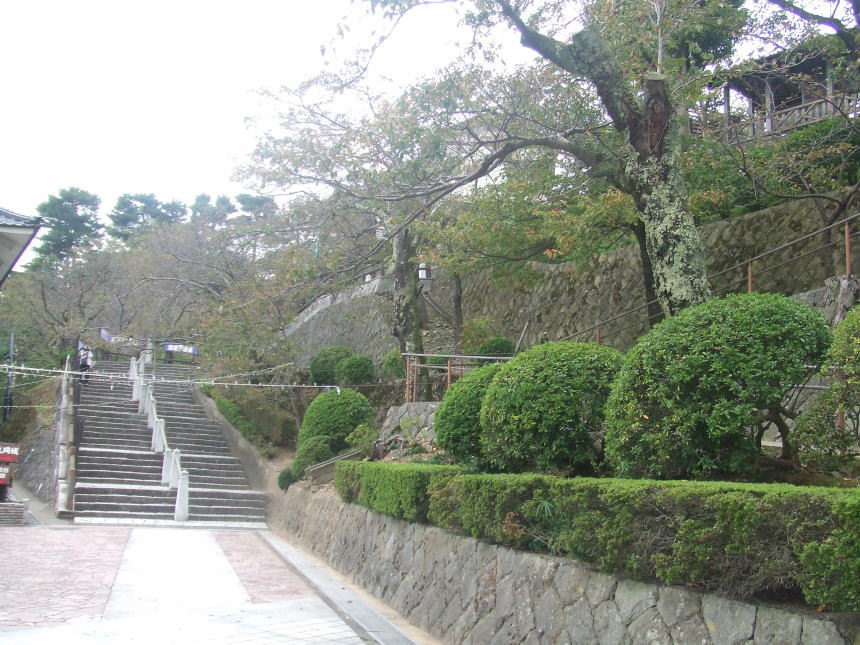 丸岡城へのぼる階段