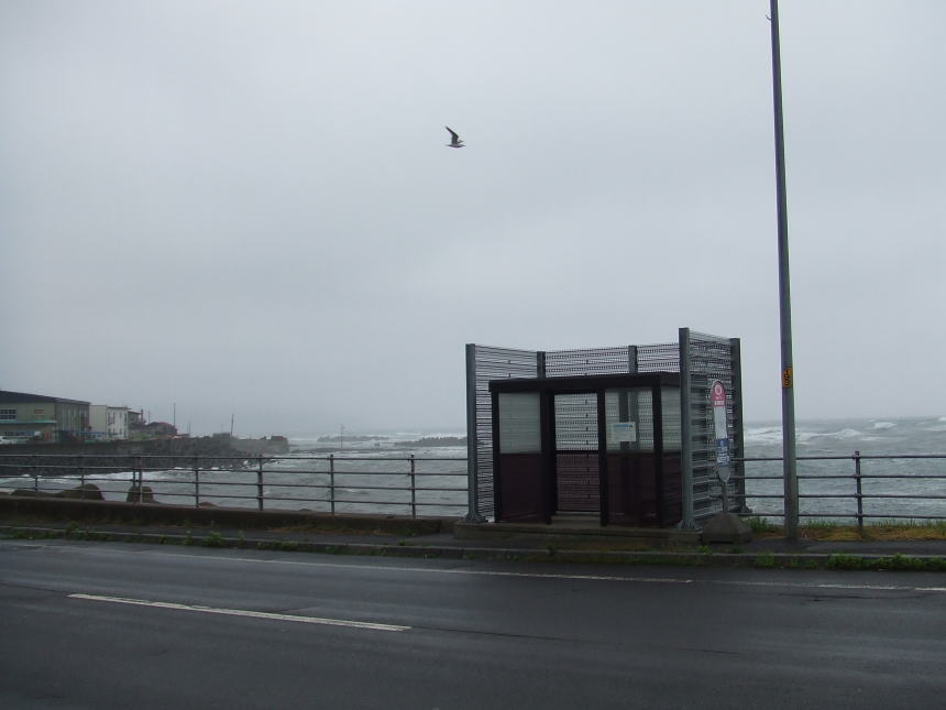 バス停前の海
