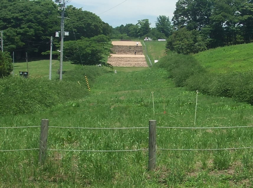 参道整備予定地