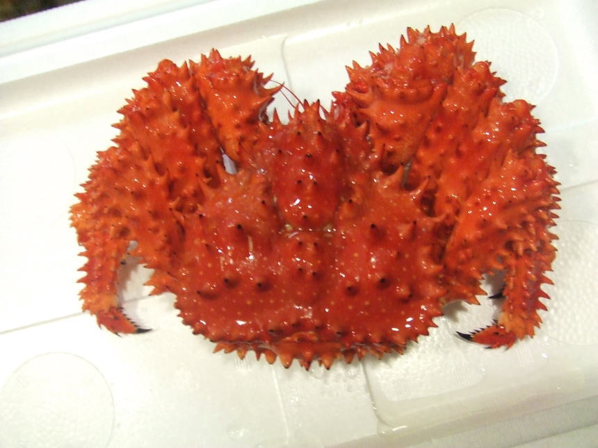 花咲ガニ（根室から届く）