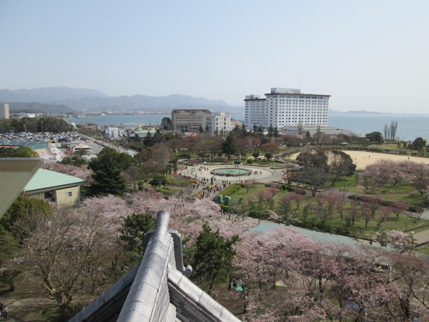 博物館5階からの眺望（南側）