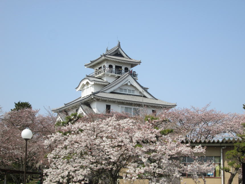 桜と博物館