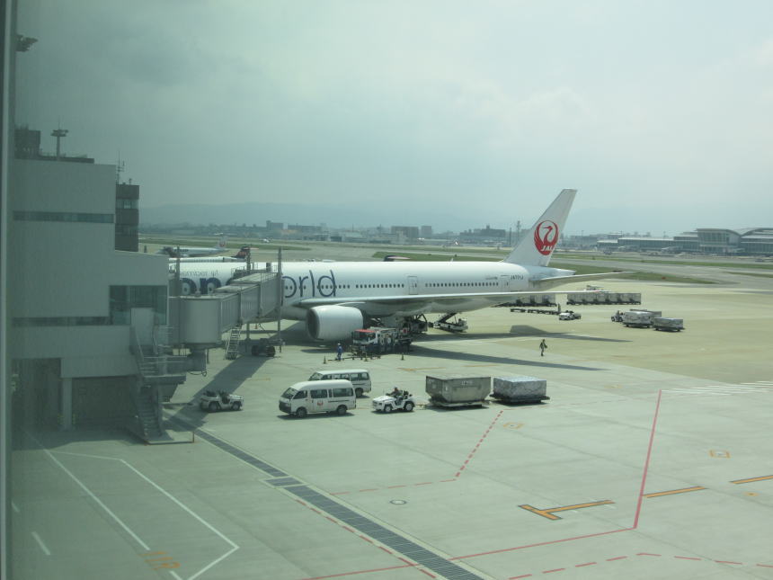 乗ってきた飛行機