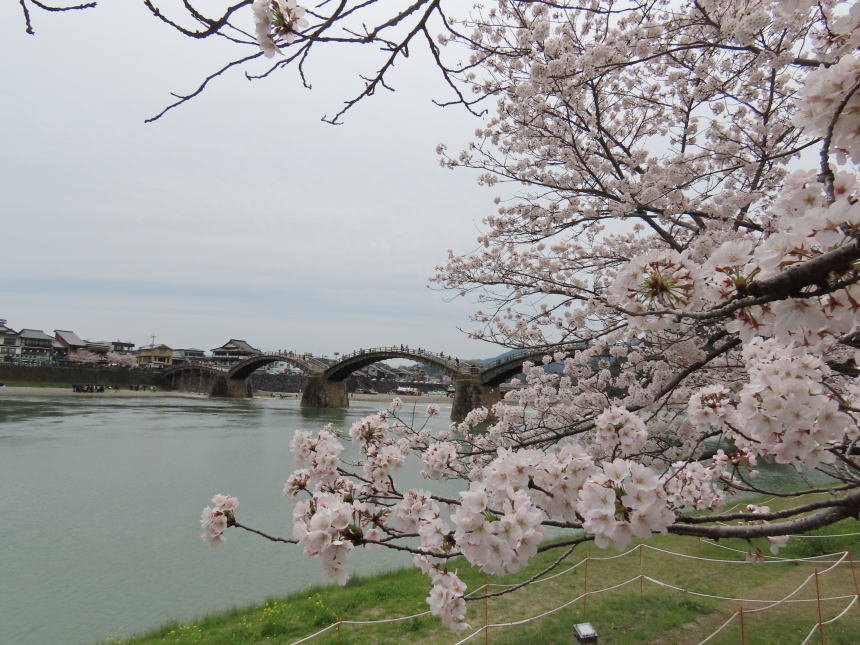錦帯橋へ向かう途中
