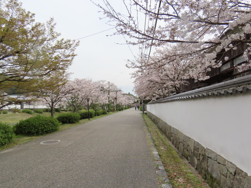 駐車場へ戻る道