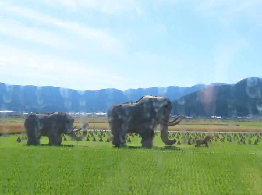 わらの？マンモス