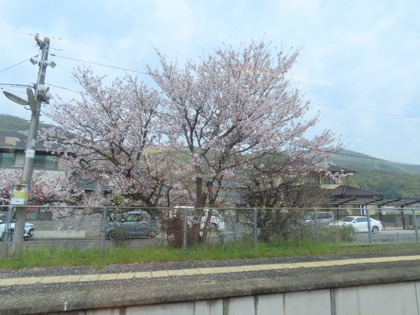 玉柏駅停車中の風景