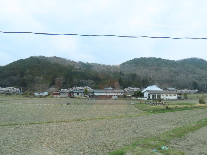 こんな風景の連続…飽きてきた頃
