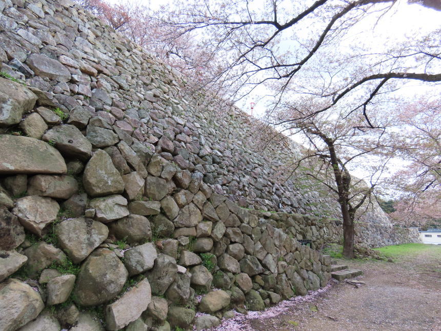 二ノ丸の石垣（石垣上が二ノ丸）